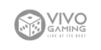 Evolution Gaming partner logo